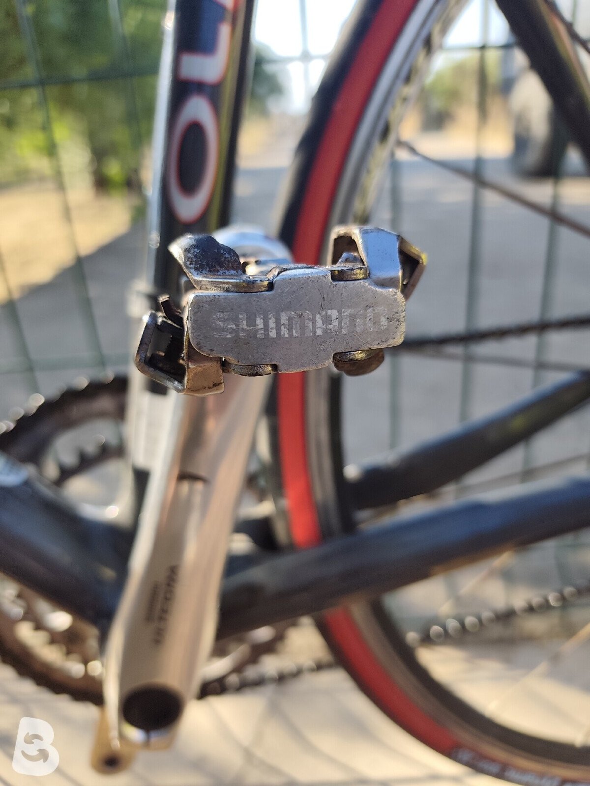 Olmo Corsa 2005