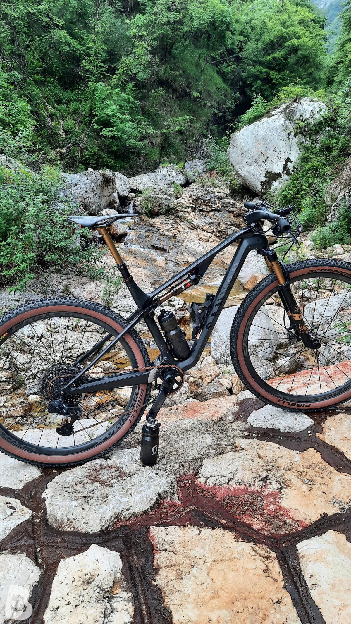 Canyon Lux clx world cup 2022