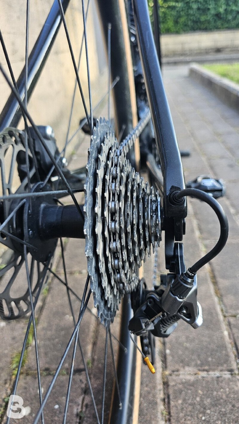 Giant Revolt Advanced 2 2024