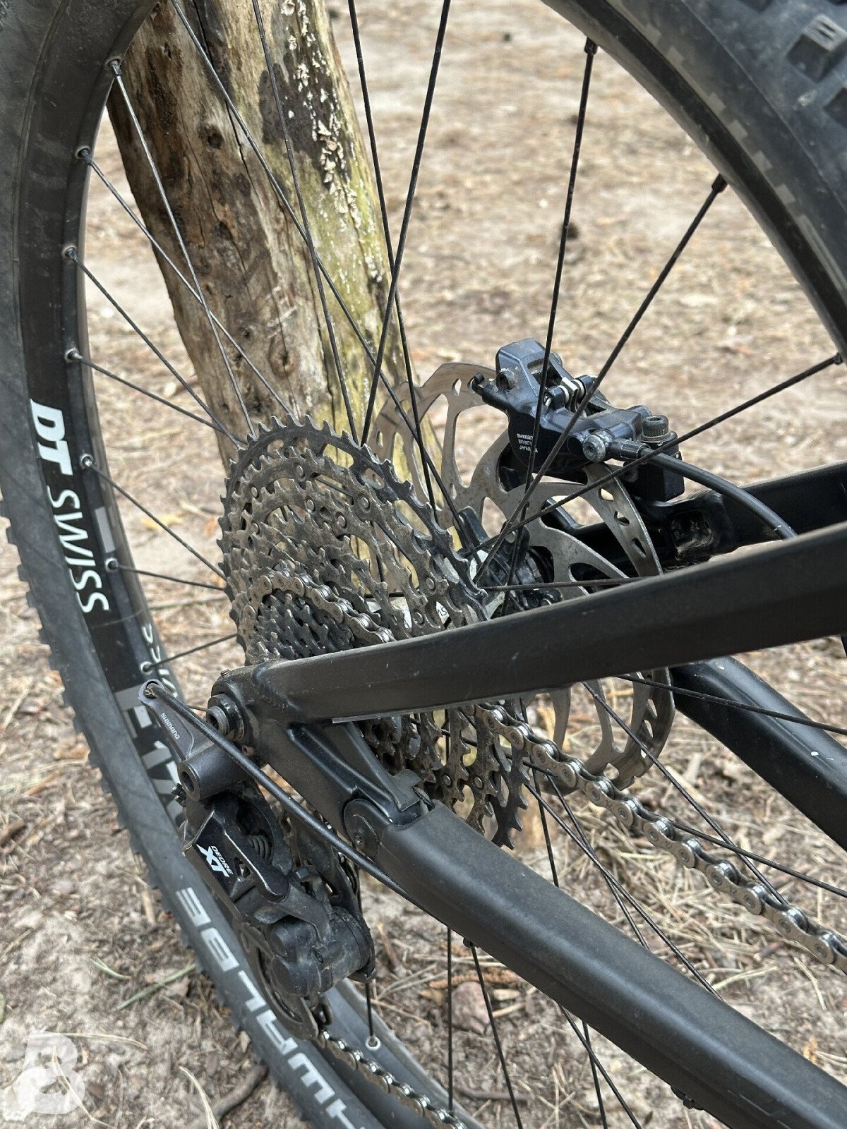 Vitus Sommet CRS 2021