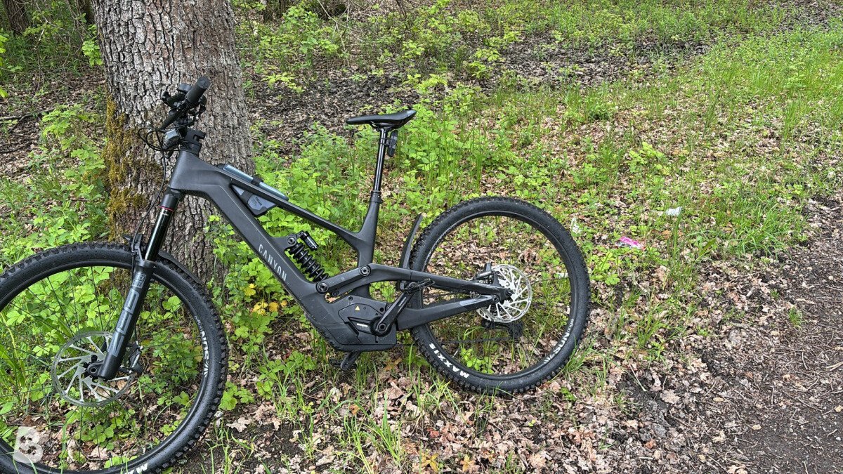 Canyon Torque ON cf 7 2023