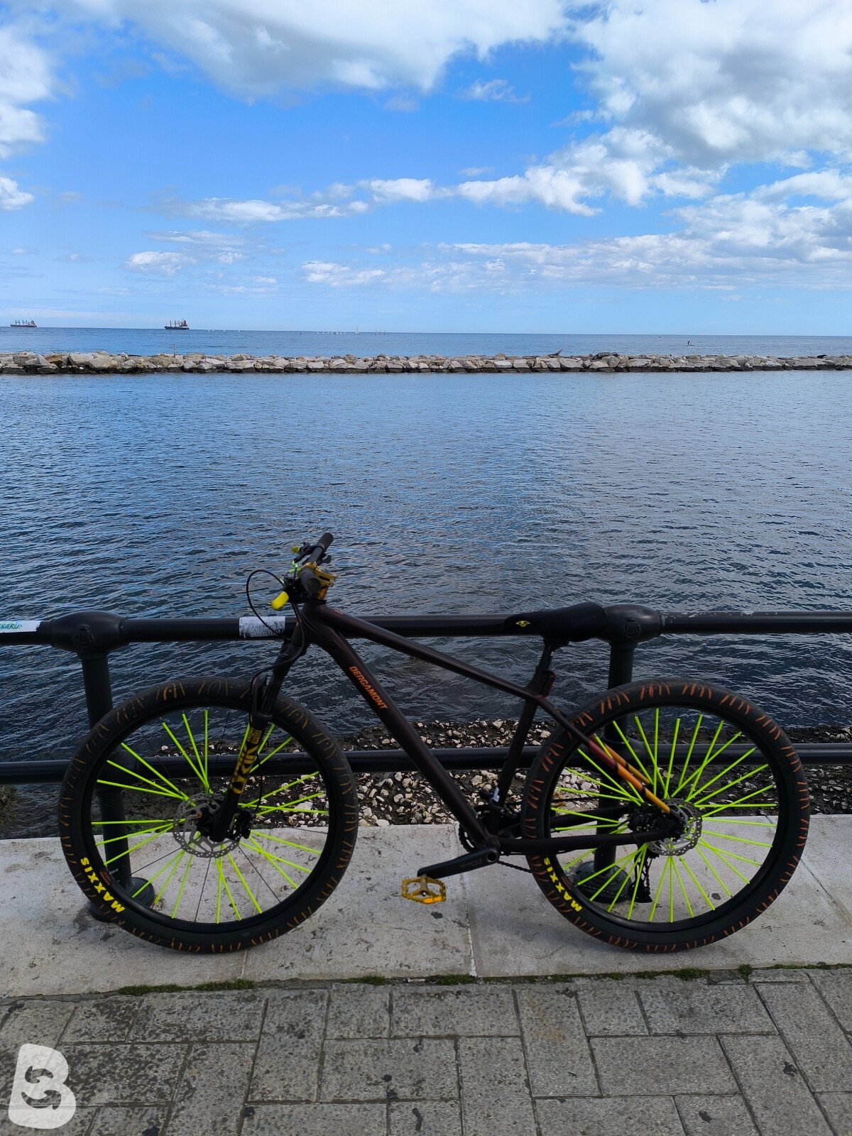 Bergamont Revox 7 2020