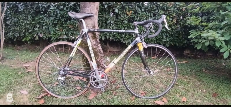 Lemond Greg Lemond TVT 92 1990