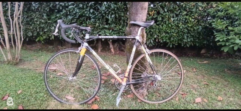 Lemond Greg Lemond TVT 92 1990