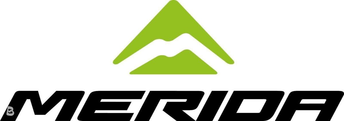 Merida eOne Sixty 9000 CARBON NEU 2022