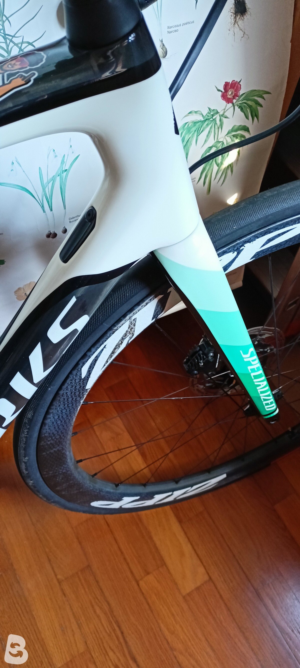 Specialized S-Works Tarmac SL6 Disc - Dura Ace Di2 2019