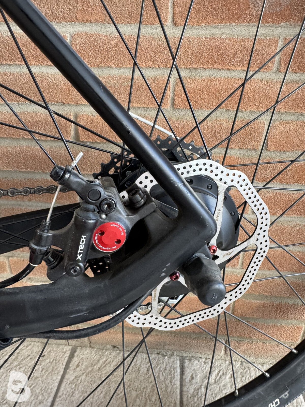 Ritchey +bici 2025