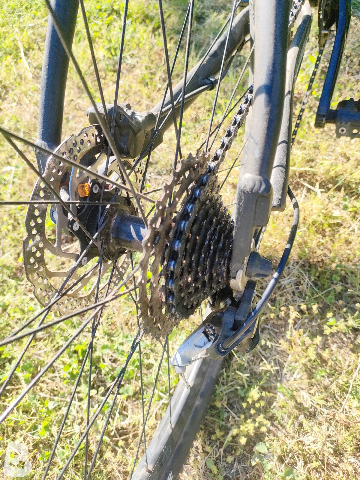 Bianchi Jab 2016