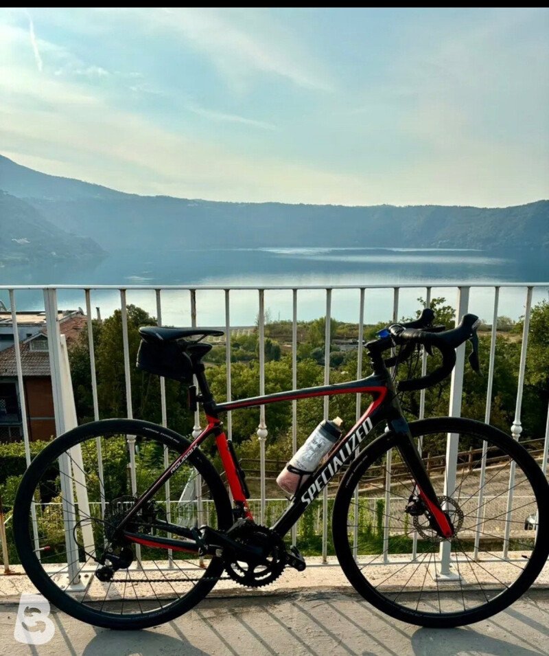 Specialized Roubaix 2017