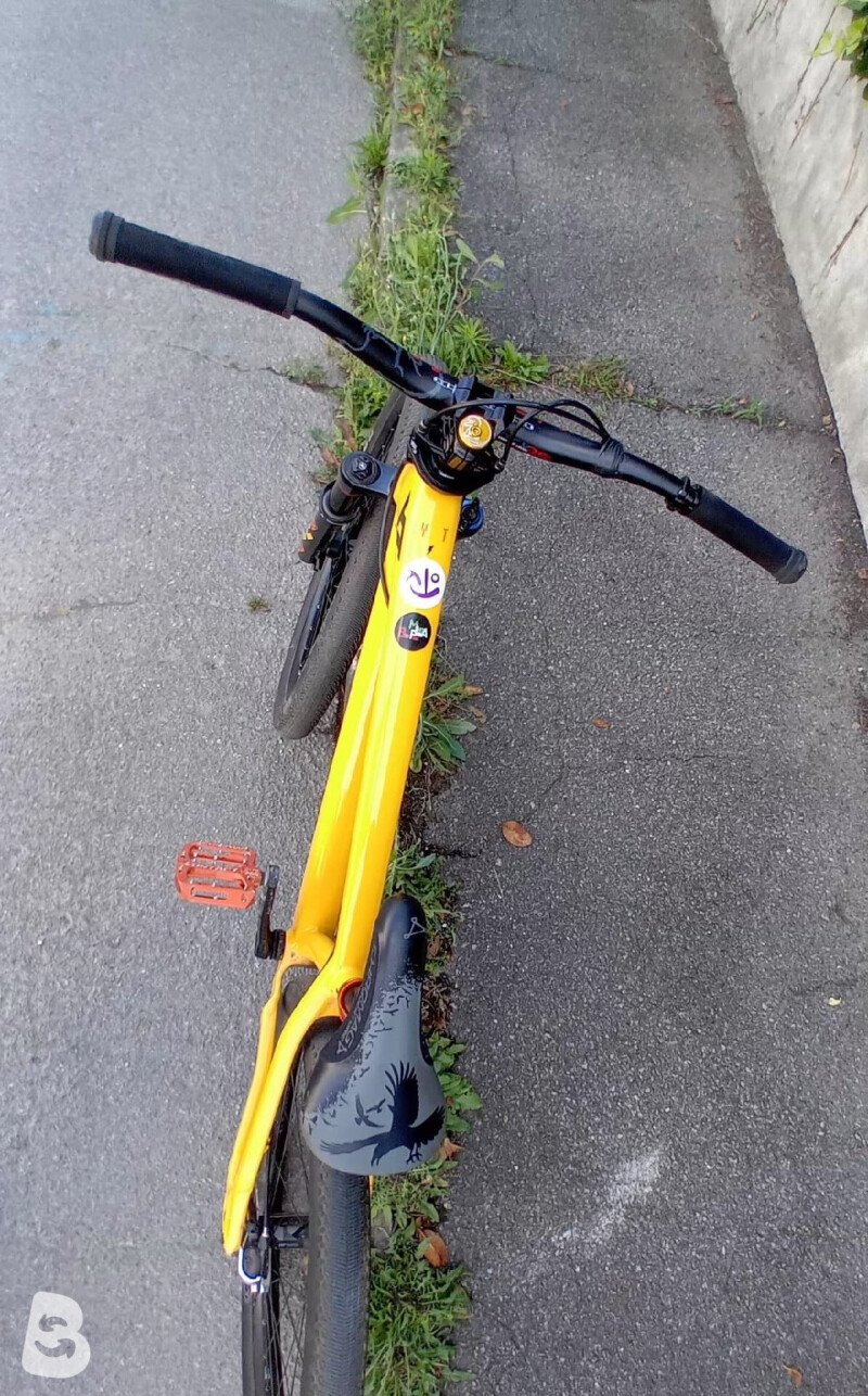 YT Industries Dirtlove custom 2026