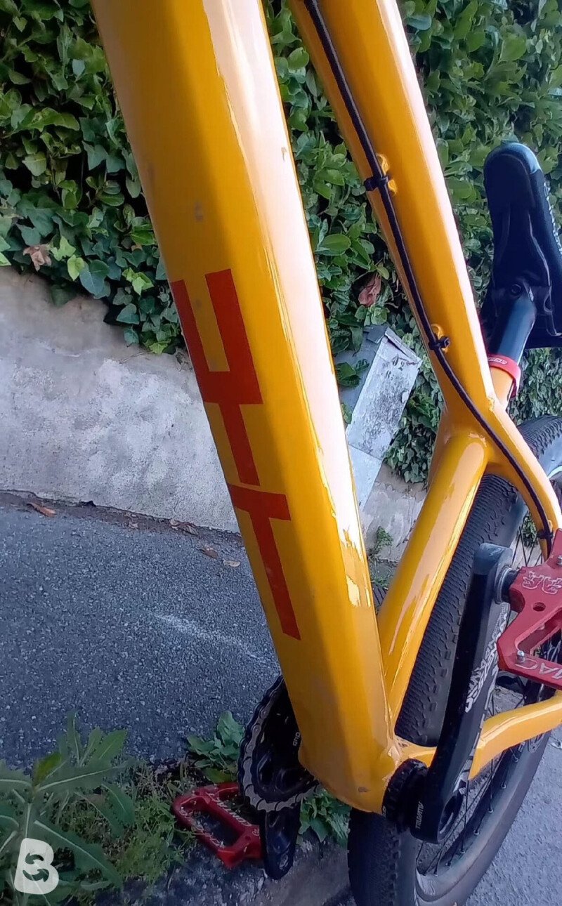 YT Industries Dirtlove custom 2026