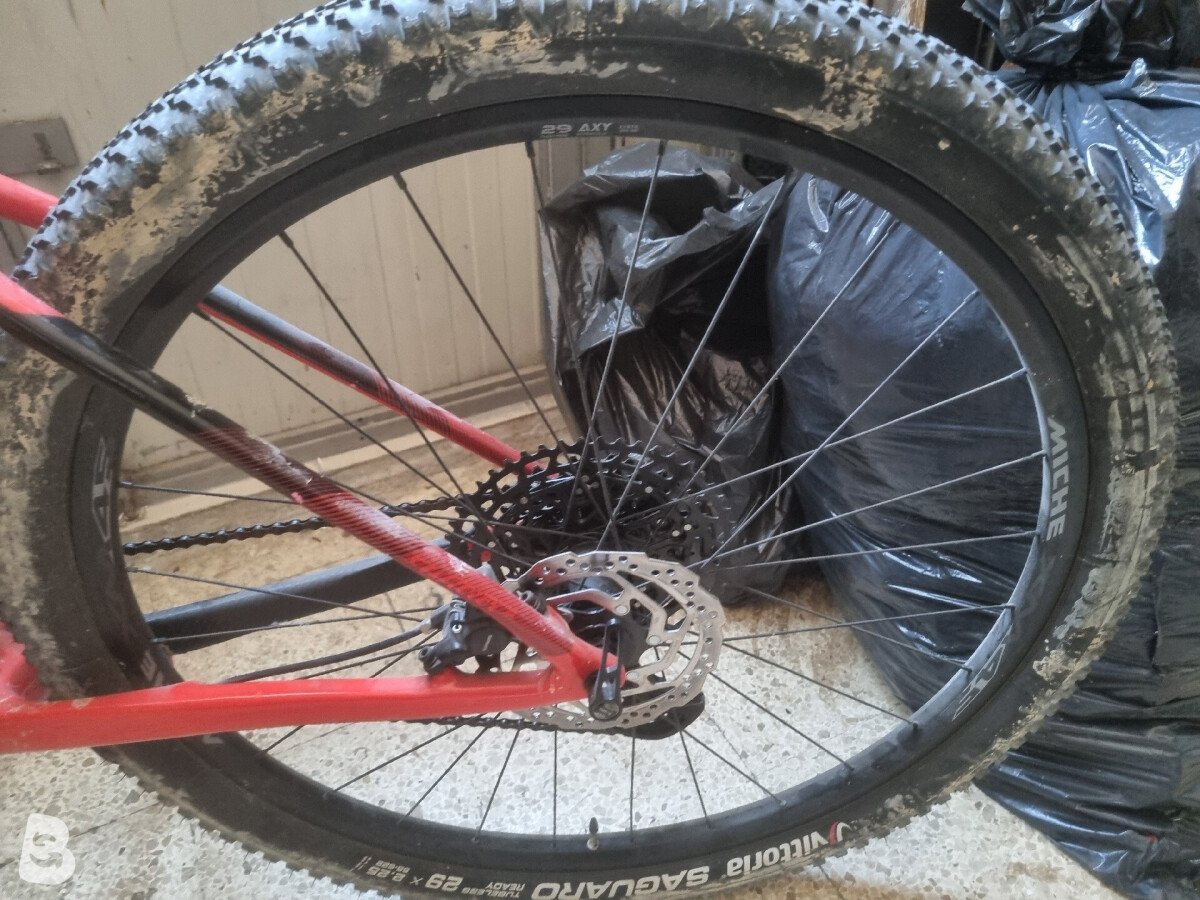 Wilier 101 x 2024