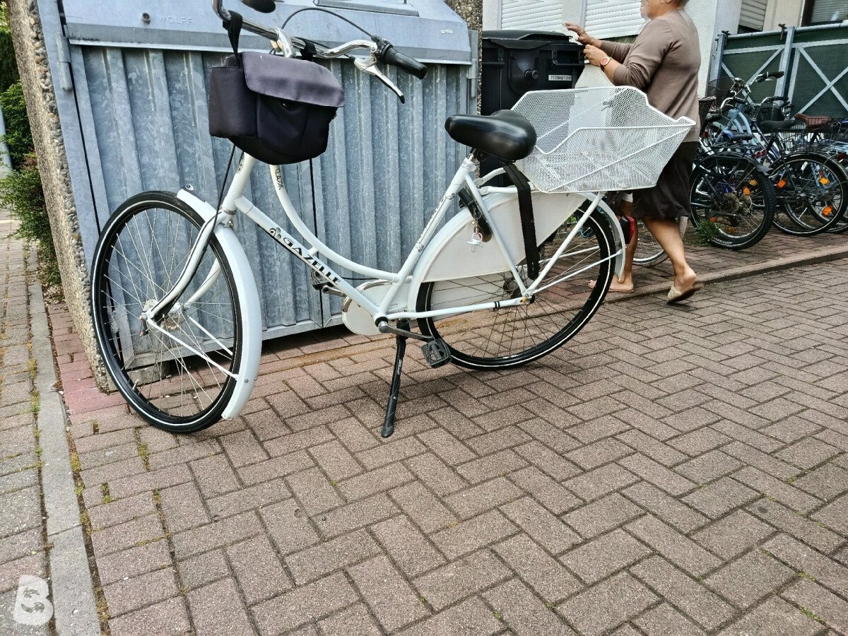 Gazelle Holland