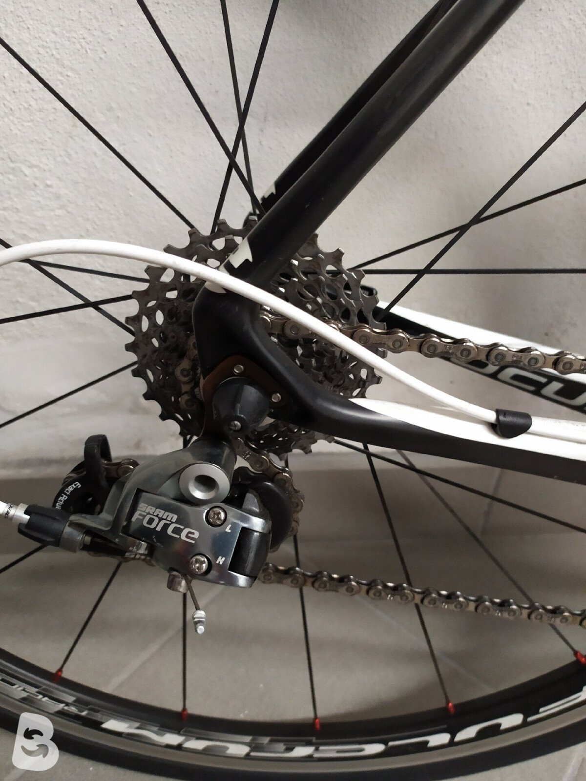 Focus Izalco Pro 2013