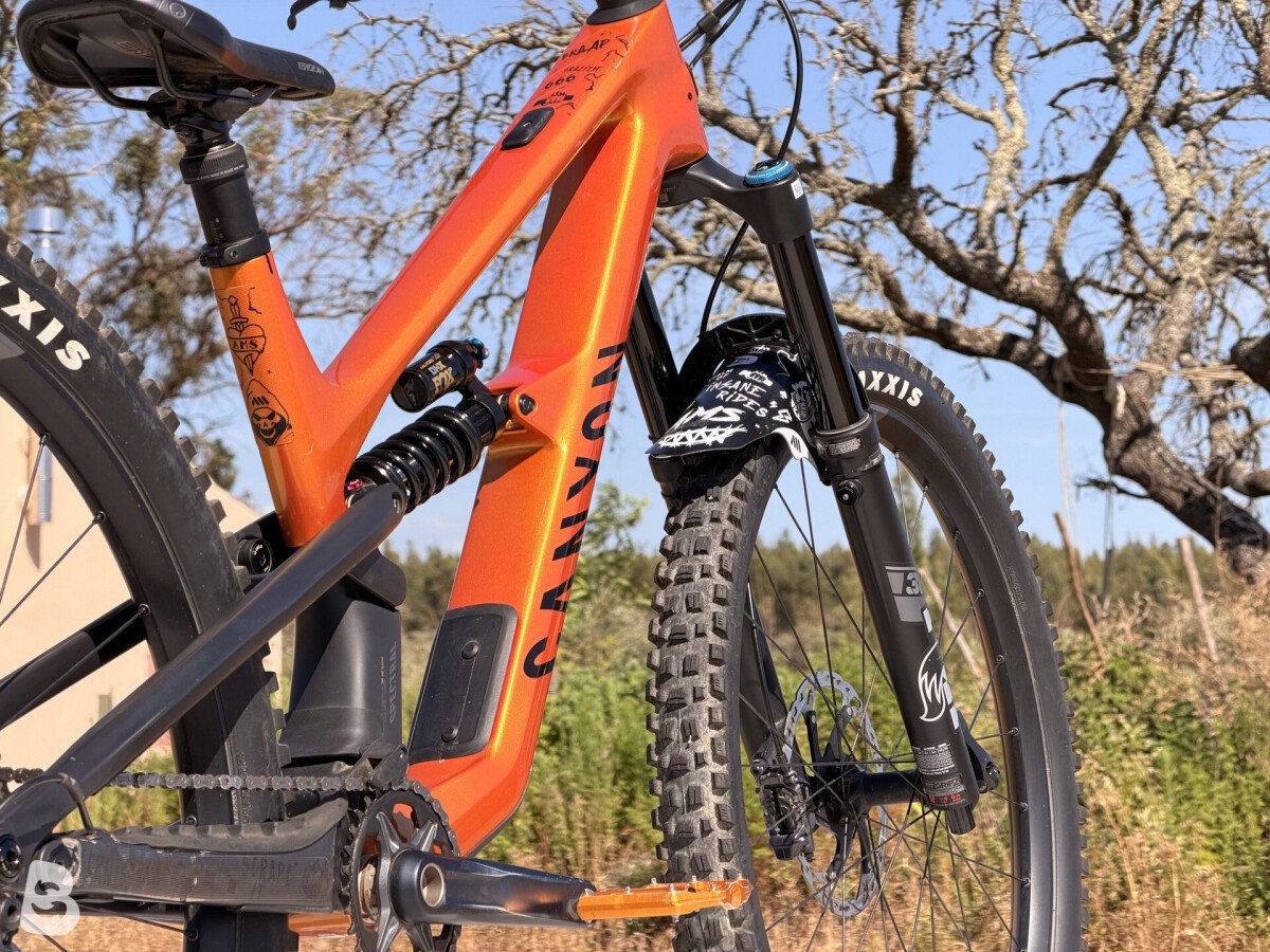 Canyon Spectral CF 8 CLLCTV 2024