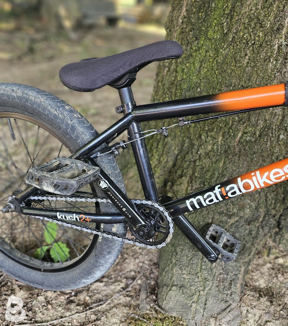 Mafia Bikes kush 2+ 2018