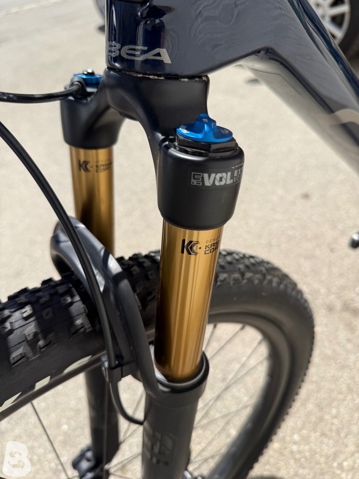 Orbea Alma Pro, OMX, XL (my Orbea_shimano) 2023