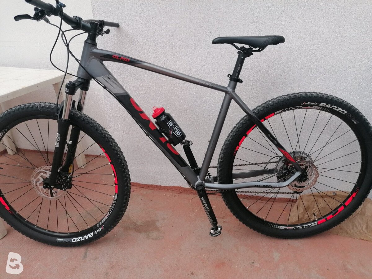 Olmo carmo 2024