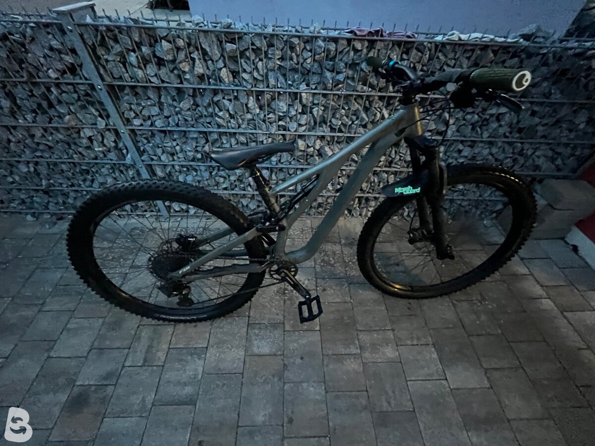 Specialized Stumpjumper comp 2019