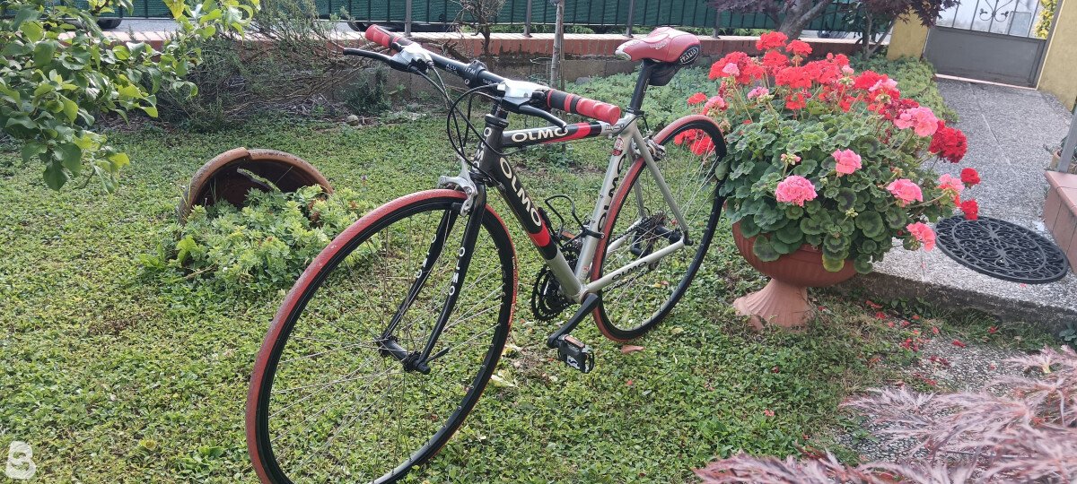 Olmo Impact 2000
