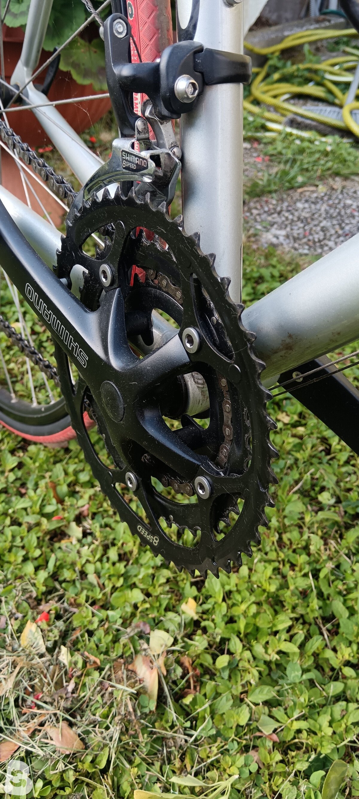 Olmo Impact 2000