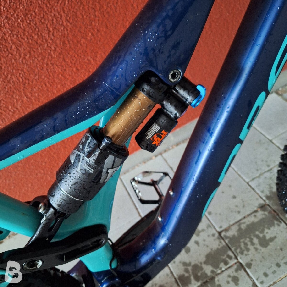 Orbea Rallon M10 2019