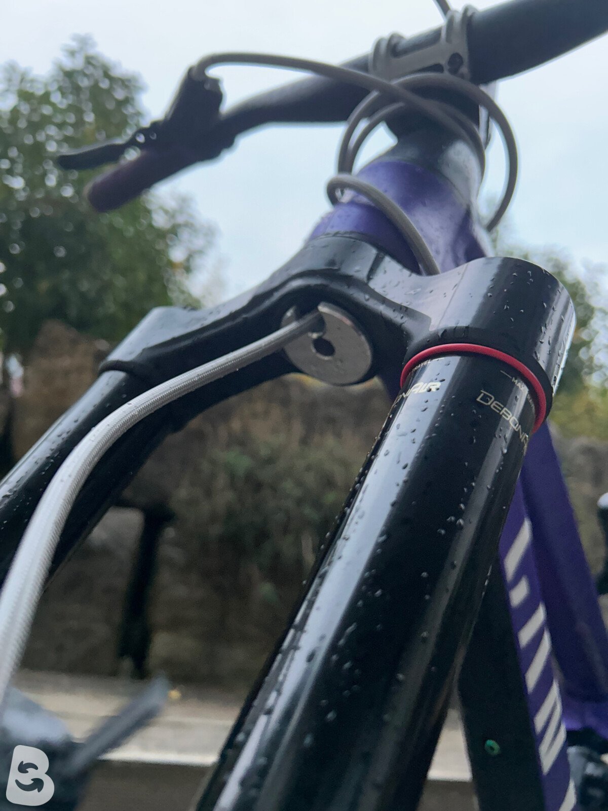Canyon Sender 2021