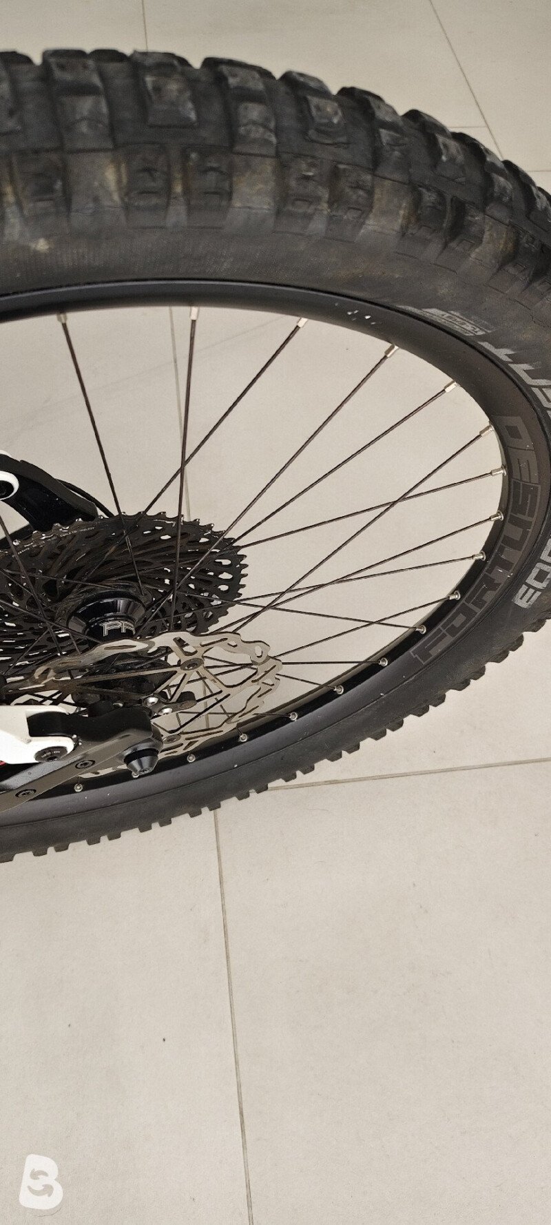Fantic Integra Xf1 2019