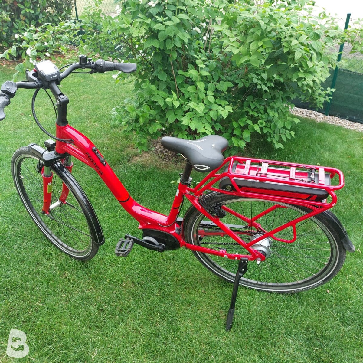 Pegasus Solero E8 2021