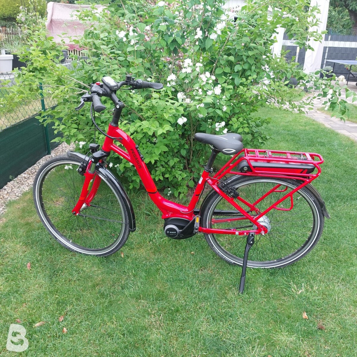 Pegasus Solero E8 2021