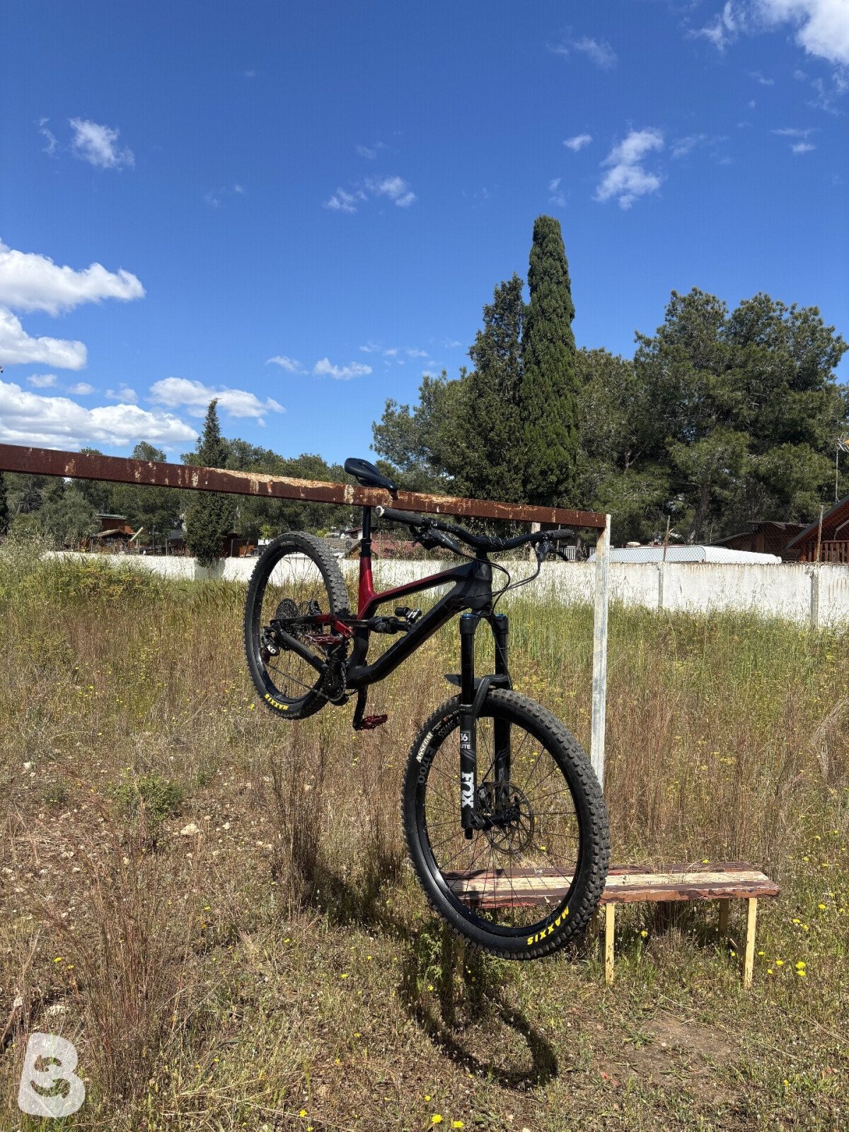 Canyon Torque CF 8.0 2019