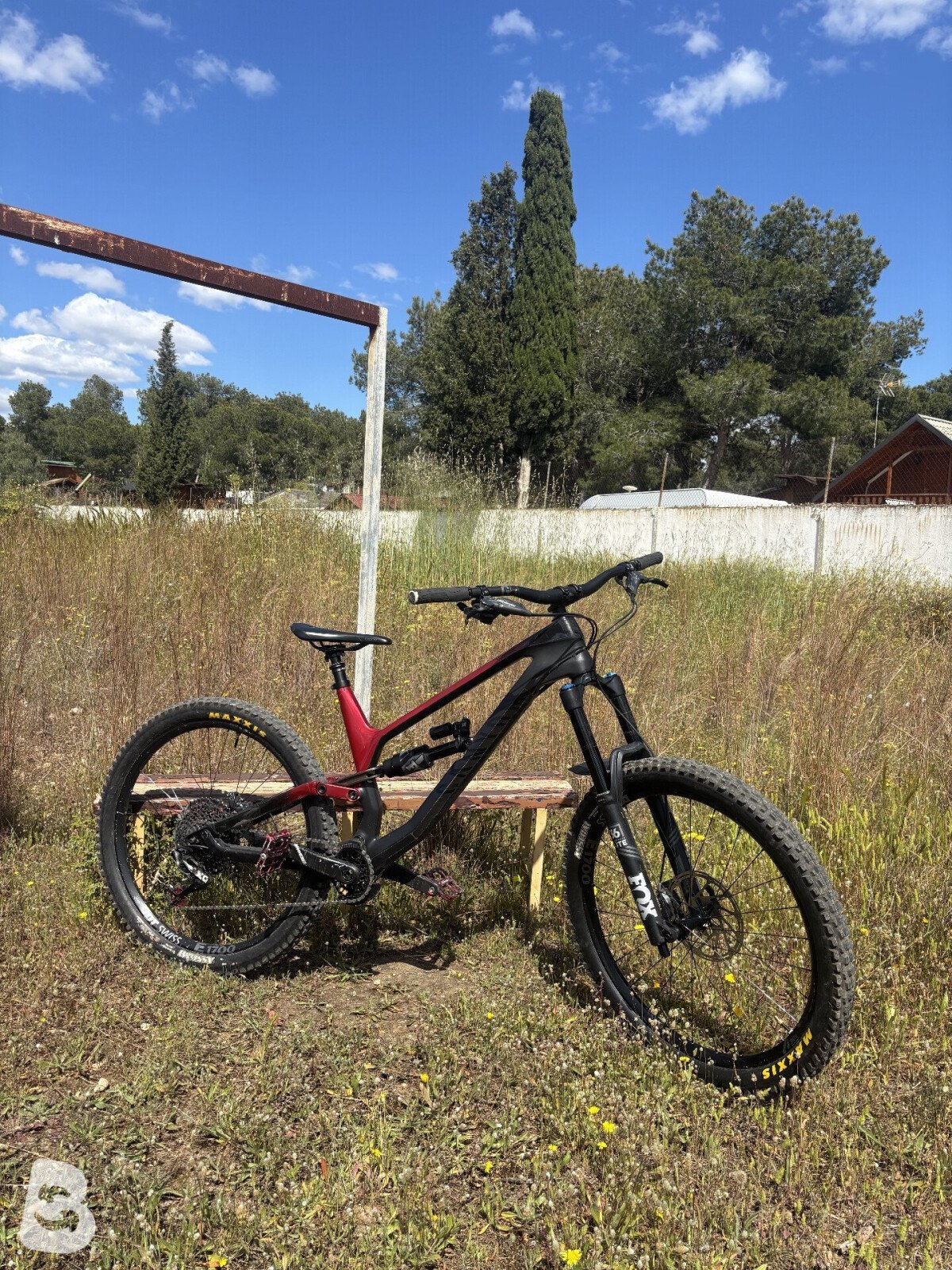 Canyon Torque CF 8.0 2019