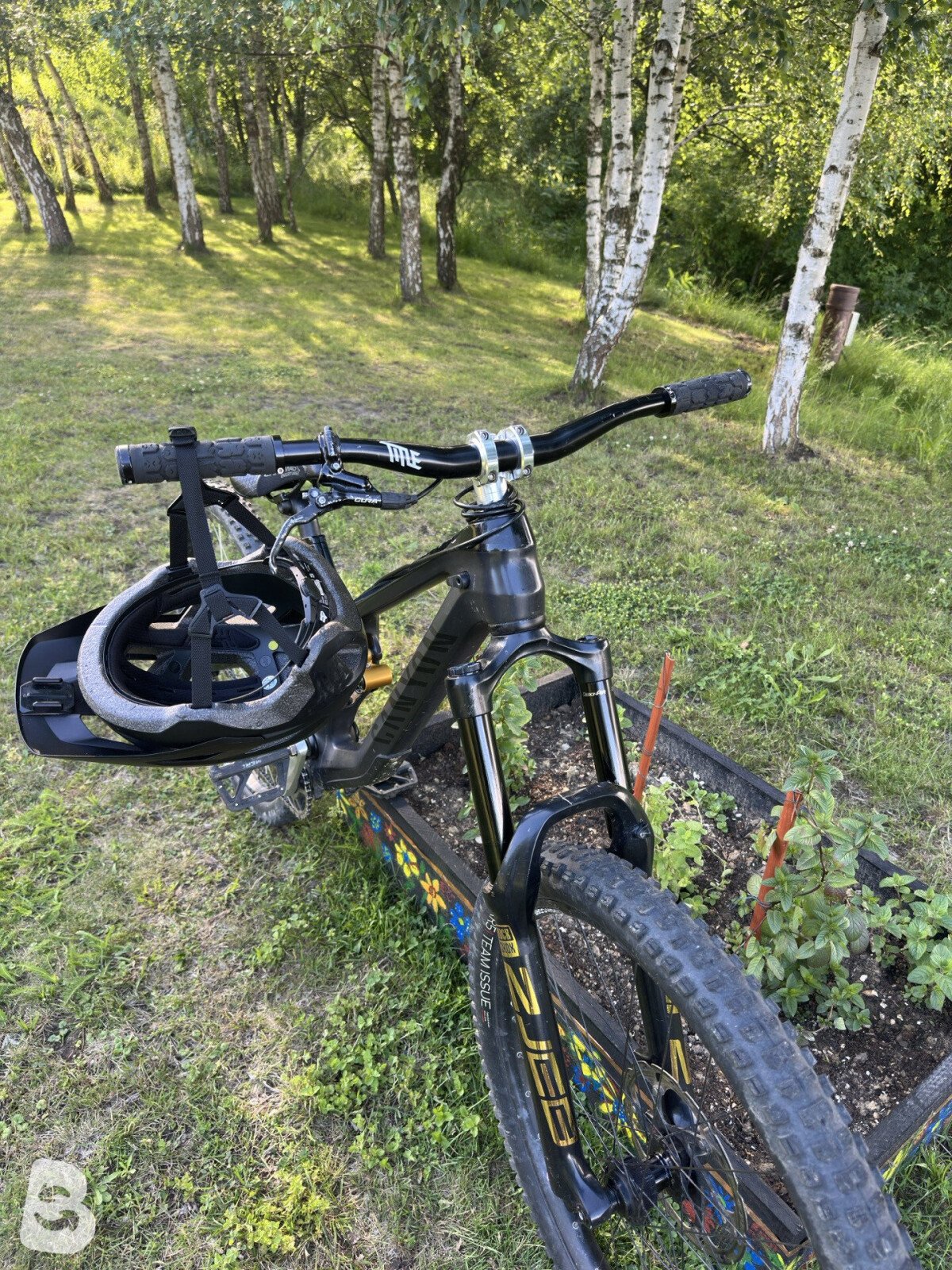 Canyon Sender CF 9.0 2019