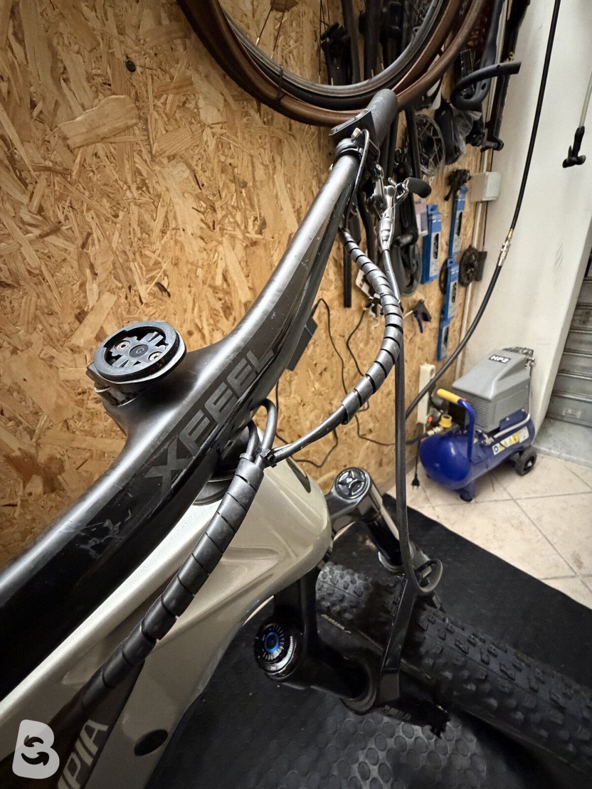 Olympia Nitro Competizione 2025