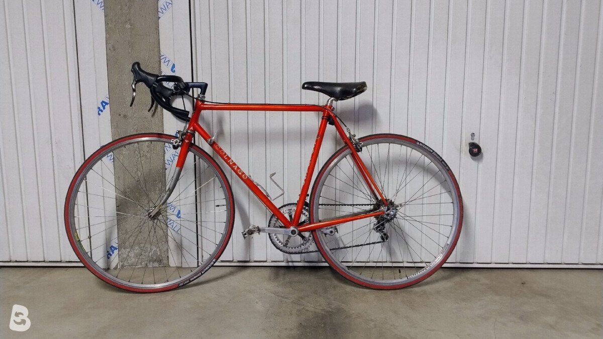Colnago Super 1981