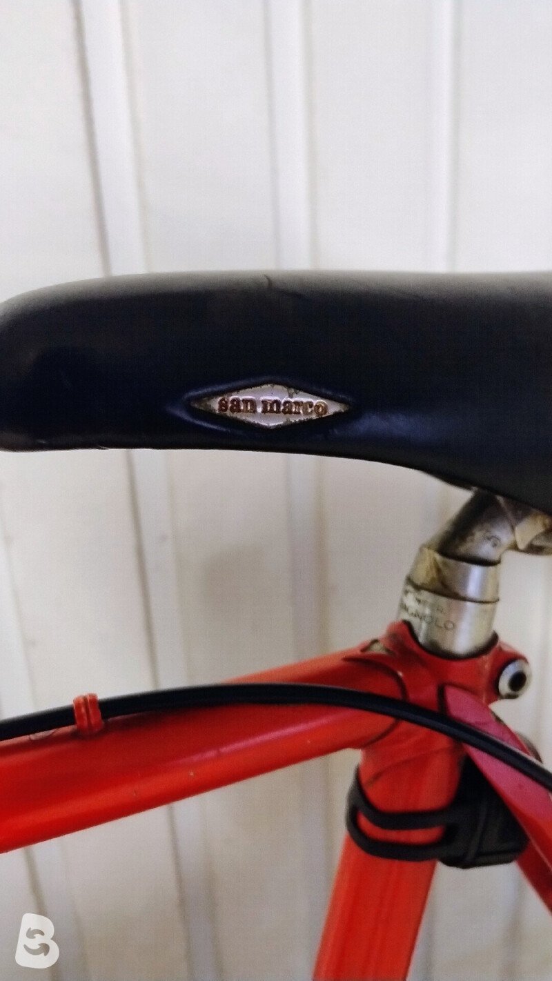 Colnago Super 1981