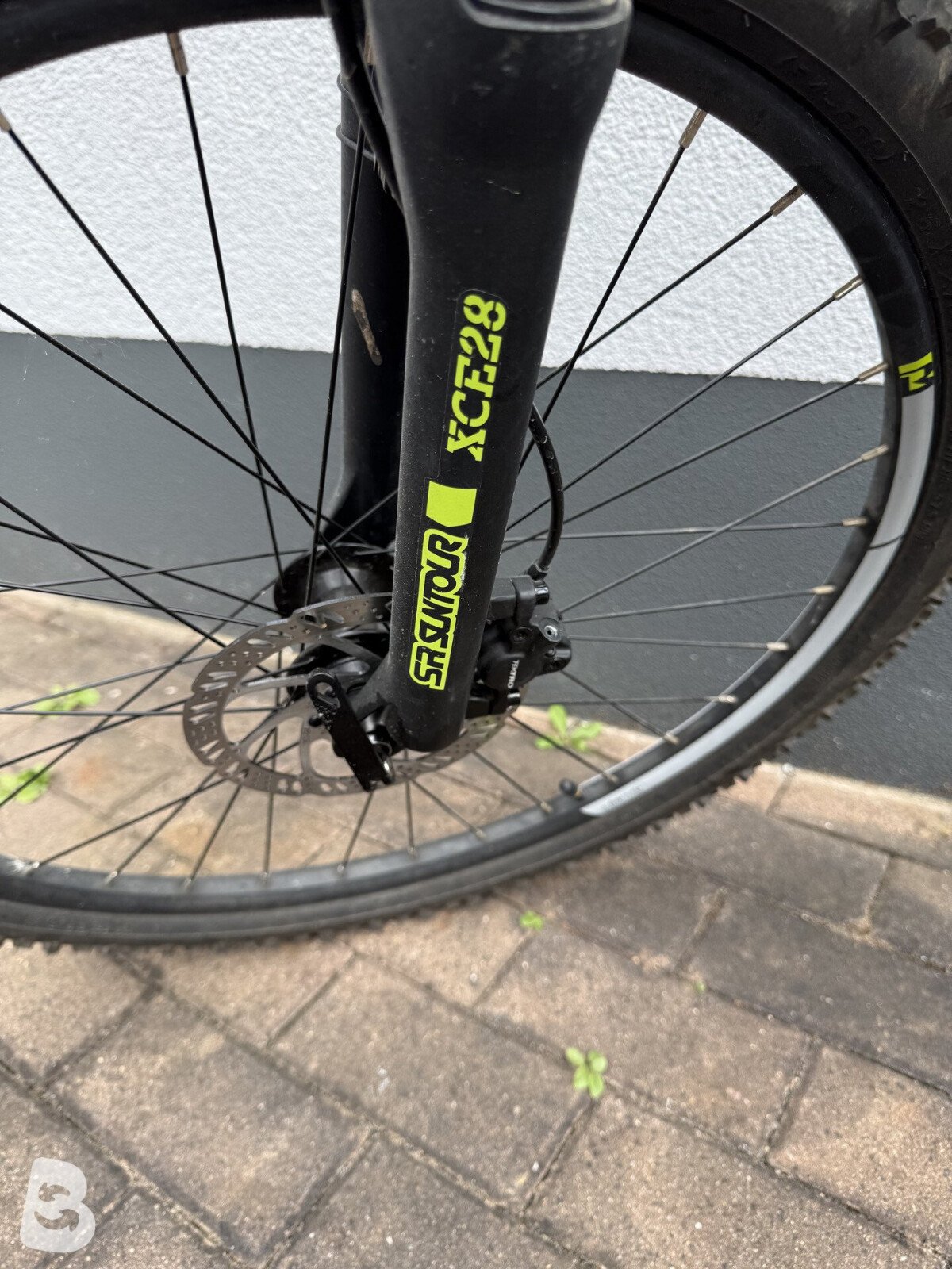 Raymon XCE28 2025