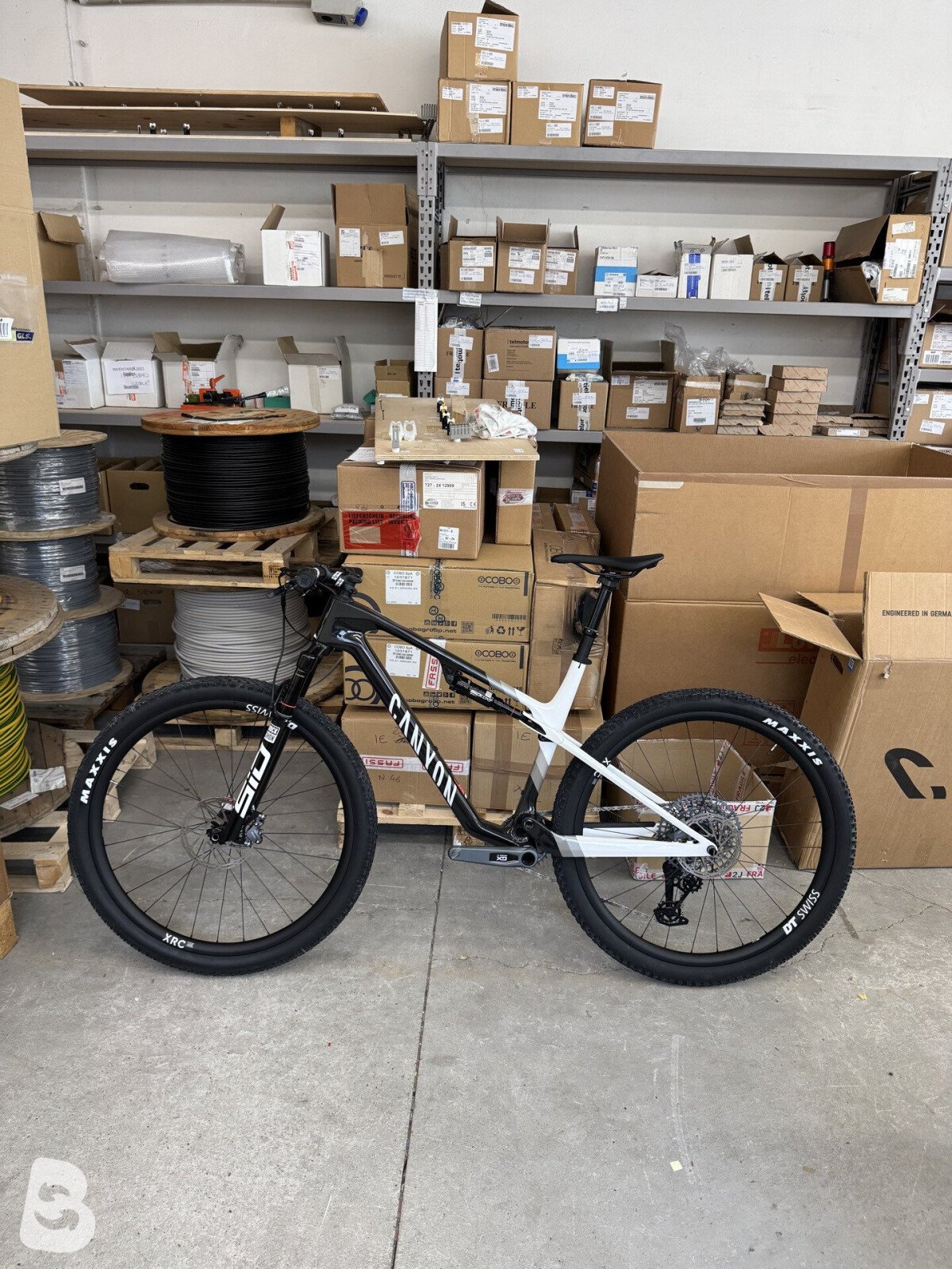 Canyon Lux Word Cup 2025
