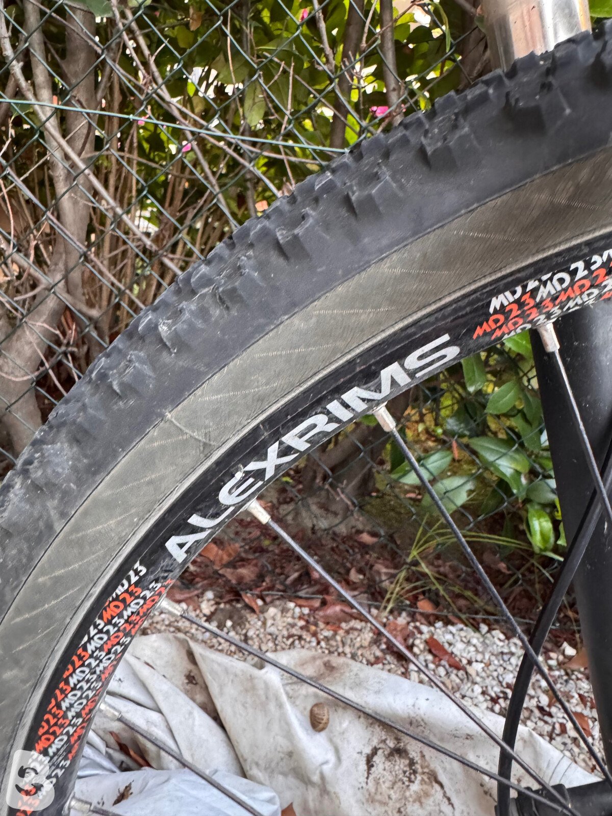 Trek Powerfly 5 2017