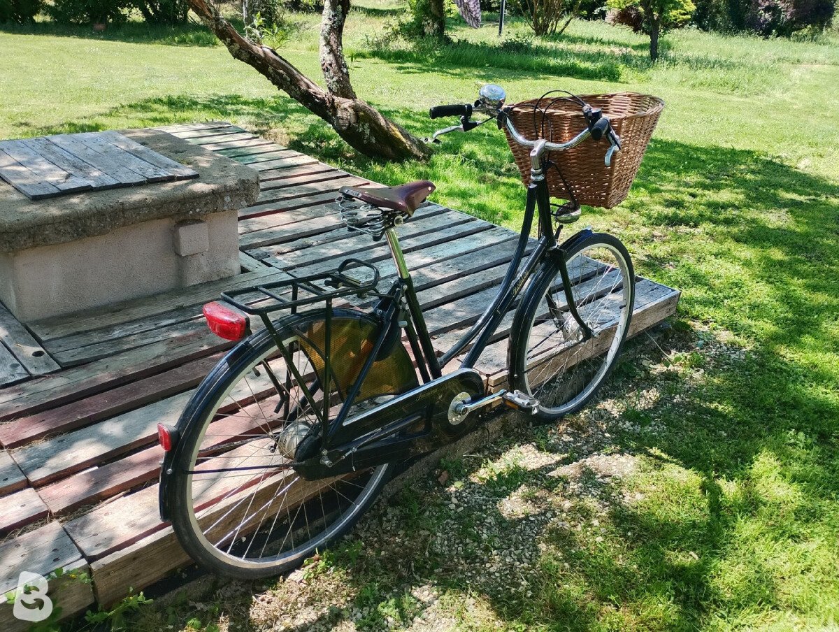 Pashley Princess Sovereign 2010
