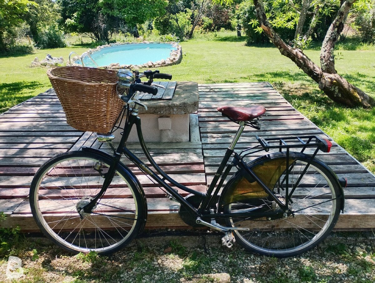 Pashley Princess Sovereign 2010