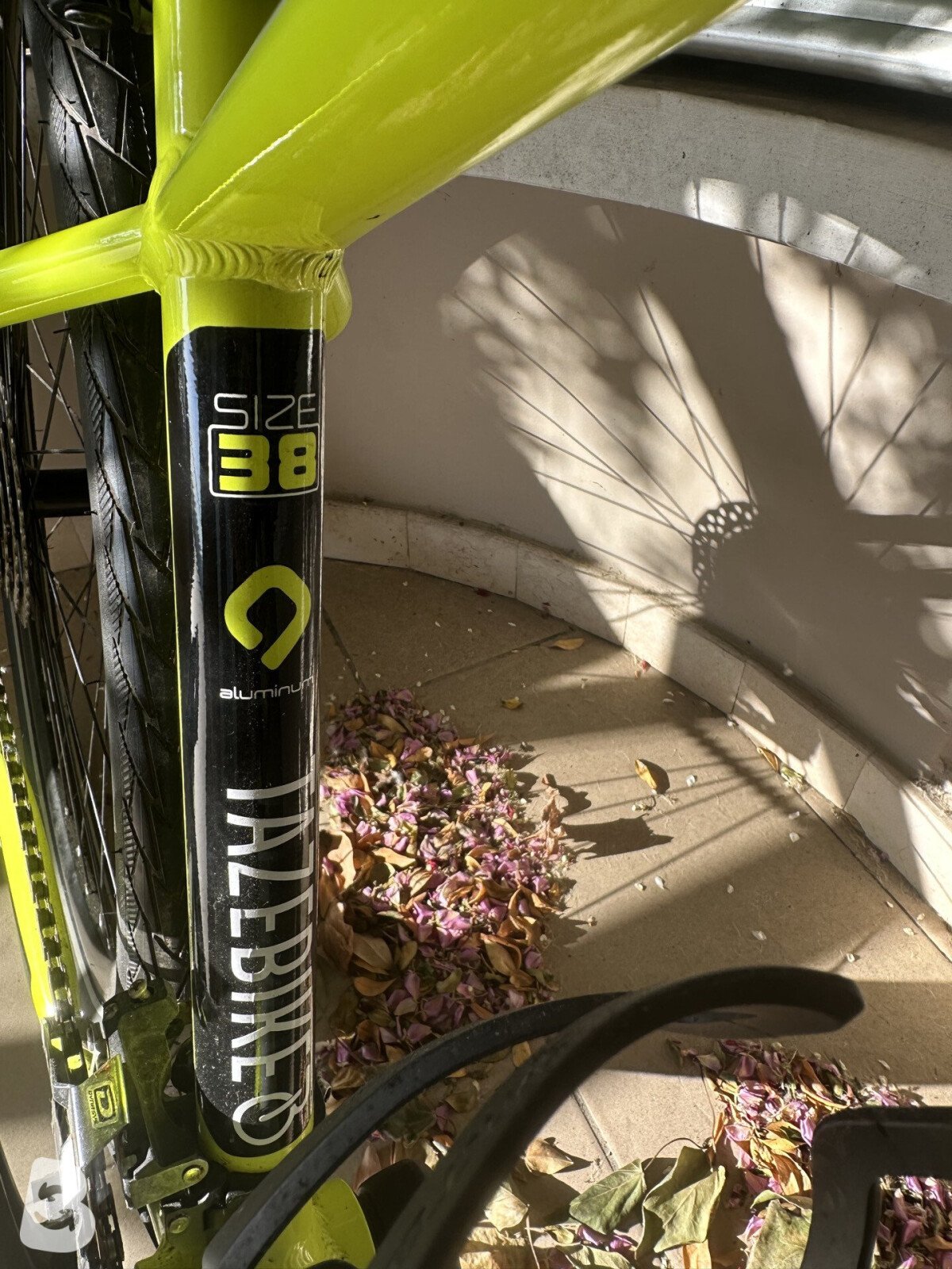 Cicli MBM Mtb Quarx 2025