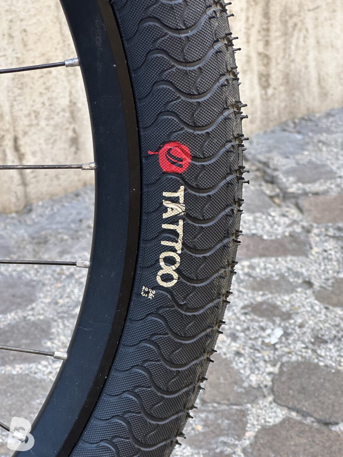 NS Bikes dirt 2024