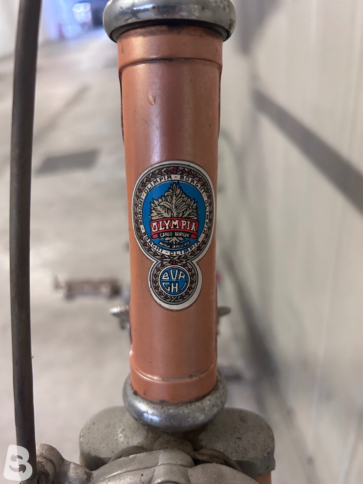 Olympia Campagnolo 1974