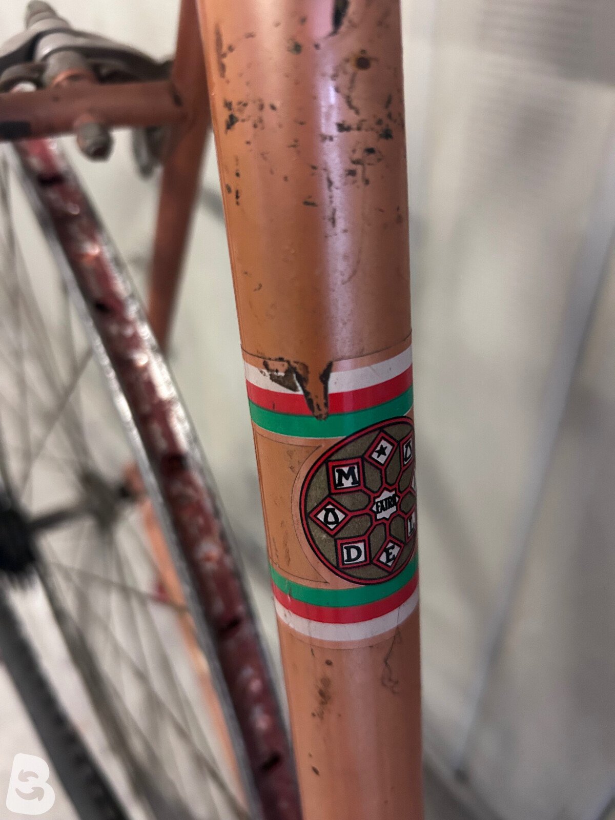 Olympia Campagnolo 1974