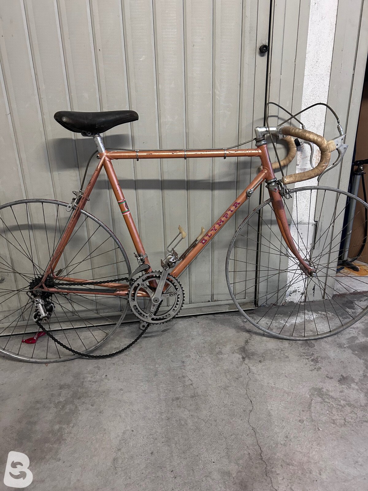 Olympia Campagnolo 1974