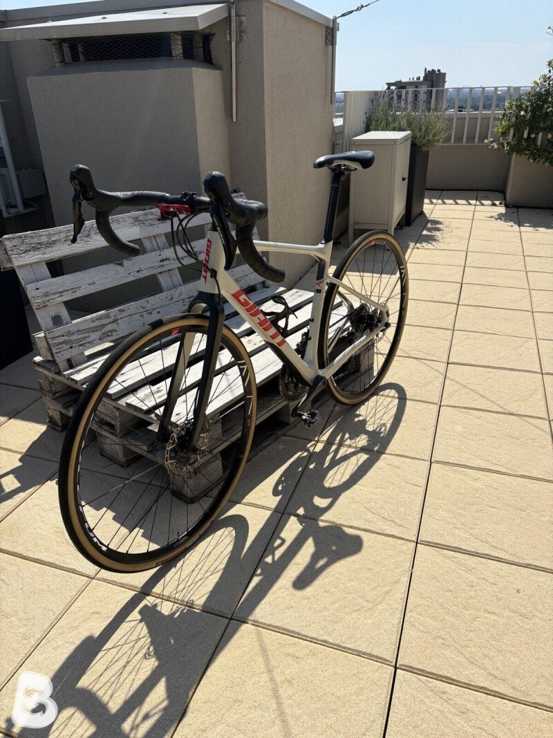 Giant Revolt Advanced 2 2019