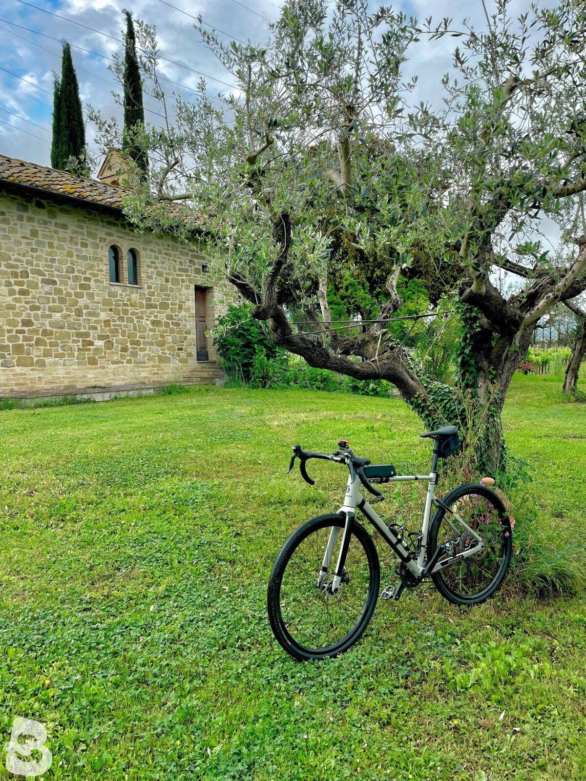 Scott Speedster Gravel 40 EQ 2023