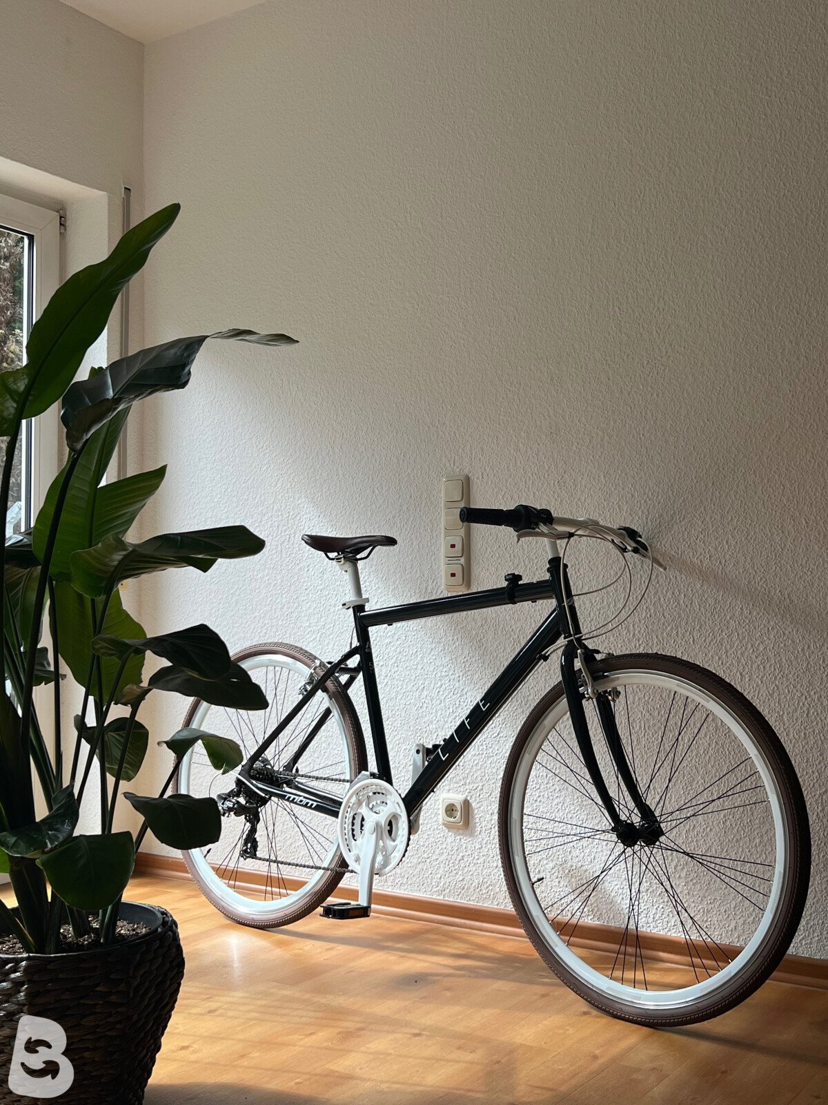 Cicli MBM Life 2026