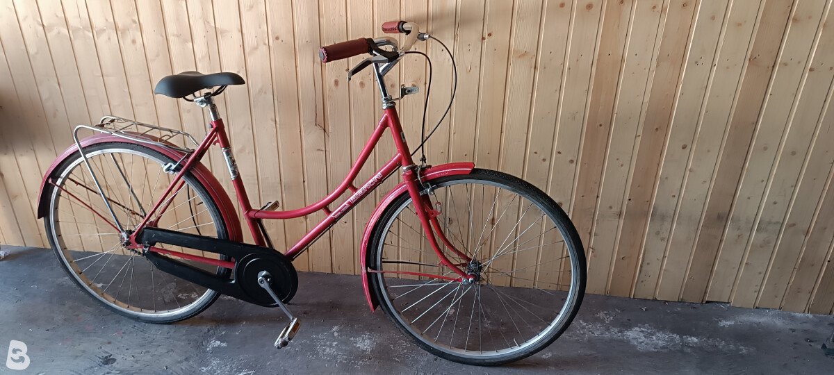 Bianchi regina 1992
